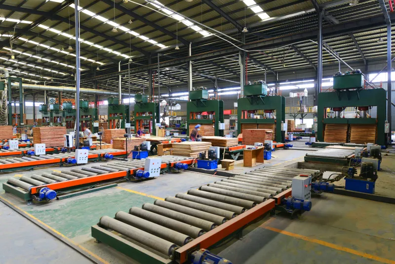 Plywood production equipment and manufacturing line