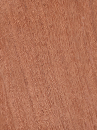 Sapele veneer surface for plywood