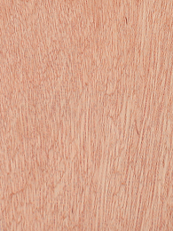 Bintangor veneer surface for plywood