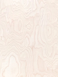 Birch veneer surface for plywood