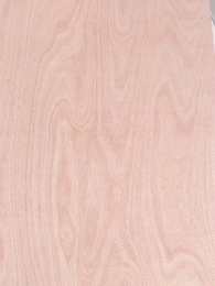Okoume veneer surface for plywood